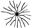S01_ShapeA_bacteriastrum.gif