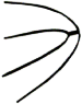 S01_ShapeC_Cpendulus.gif