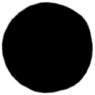S02_ShapeB_Actinoptychus.gif