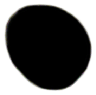 S02_ShapeB_Asteromphalus.gif