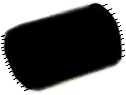 S03_ShapeC_Lauderia.gif
