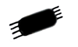 S03_ShapeC_Skeletonema4.gif