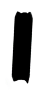 S05_ShapeE_Cerataulina.gif