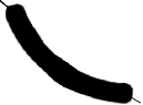 S05_ShapeE_Guinardia_st.gif