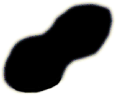 S06_ShapeF_Diploneis.gif