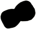 S06_ShapeF_Entomoneis.gif