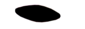 S06_ShapeF_Navicula4.gif