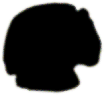 S07_ShapeG_selliformis.gif