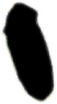 S08_ShapeH_Torod.gif