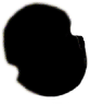 S11_ShapeK_niei.gif