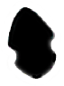 S11_ShapeK_triquetra.gif