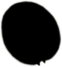 S12_ShapeL_Pcomp.gif