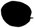 S12_ShapeL_Pscut.gif