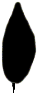 S12_ShapeL_gracile.gif