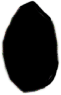 S14_ShapeN_Raphido.gif