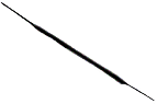 S15_ShapeO_setigera.gif