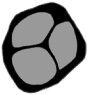 S17_ShapeQ_Ebria.gif