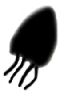 S18_ShapeR_flagellate2.gif