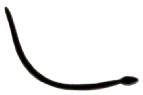 C02_ShapeCC_Cylindro.gif