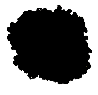 C03_ShapeDD_Microcystis.gif