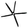 C04_ShapeEE_Actinastrum.gif