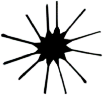 C04_ShapeEE_Asterionellopsis.gif