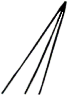 C04_ShapeEE_Lioloma.gif