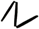 C05_ShapeFF_T_nitzschoides.gif