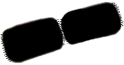 C06_ShapeGG_Lauderia.gif