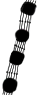 C06_ShapeGG_Skeletonema2a.gif