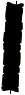 C07_ShapeHH_Lithodesmium.gif