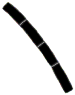 C08_ShapeII_Aulaco.gif