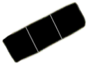 C08_ShapeII_Stauropsis.gif