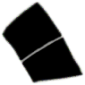 C08_ShapeII_Streptotheca.gif