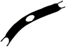 C09_ShapeJJ_Ecornuta.gif