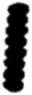 C10_ShapeKK_Alexmon.gif