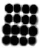 C12_ShapeAA_Merismopedia1.gif