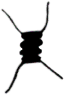 C13_ShapeNN_Desmodesmus.gif