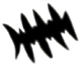C13_ShapeNN_Scenedesmus.gif